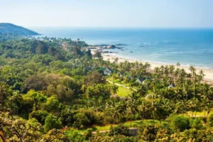 agricultural land for sale in goa rates 